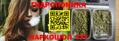гидра Партизанск