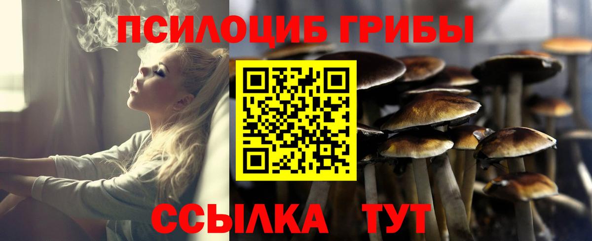 Соль-Илецк  Галлюциногенные грибы Psilocybe  Вход с VPN  Галлюциногенные грибы Psilocybe 
